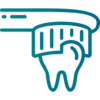 tooth